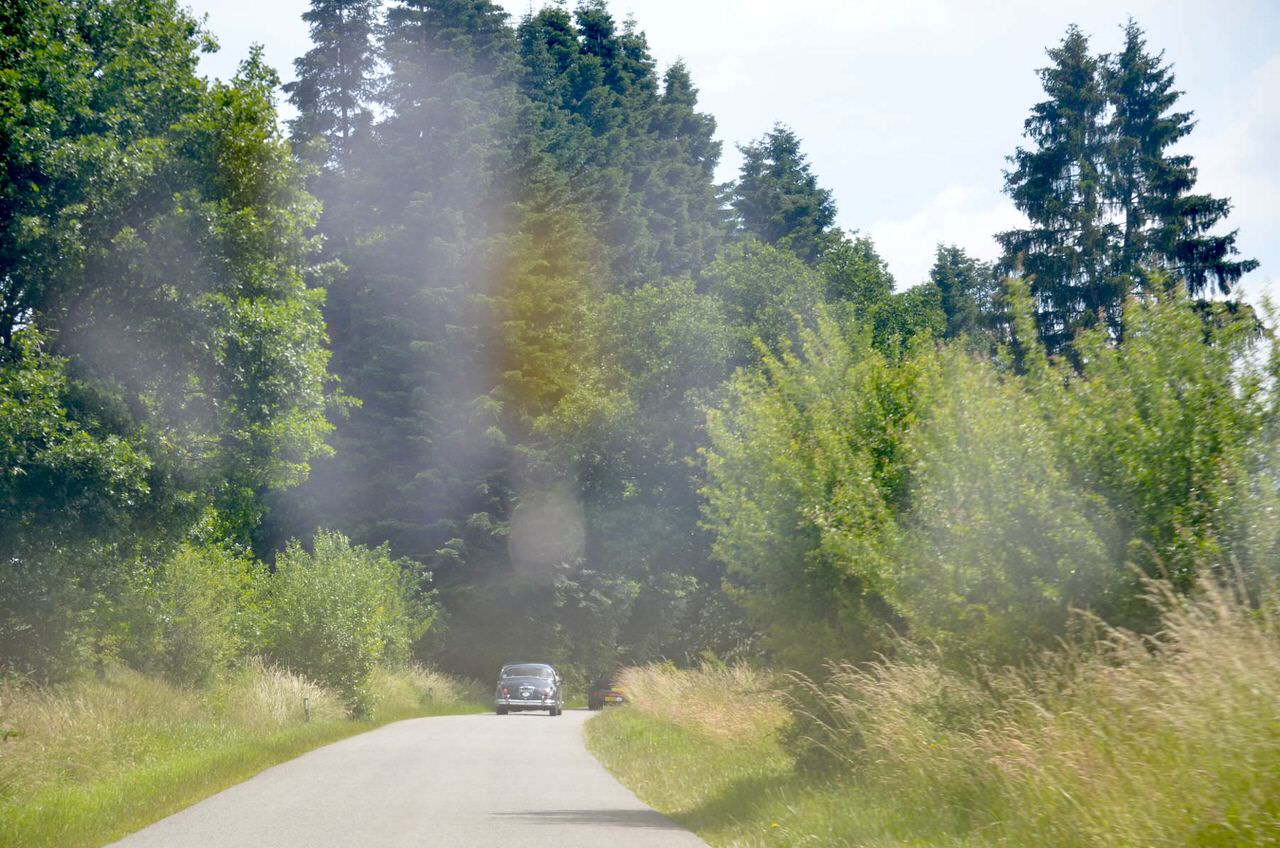 Rotary Castle Tour 2015 20150628