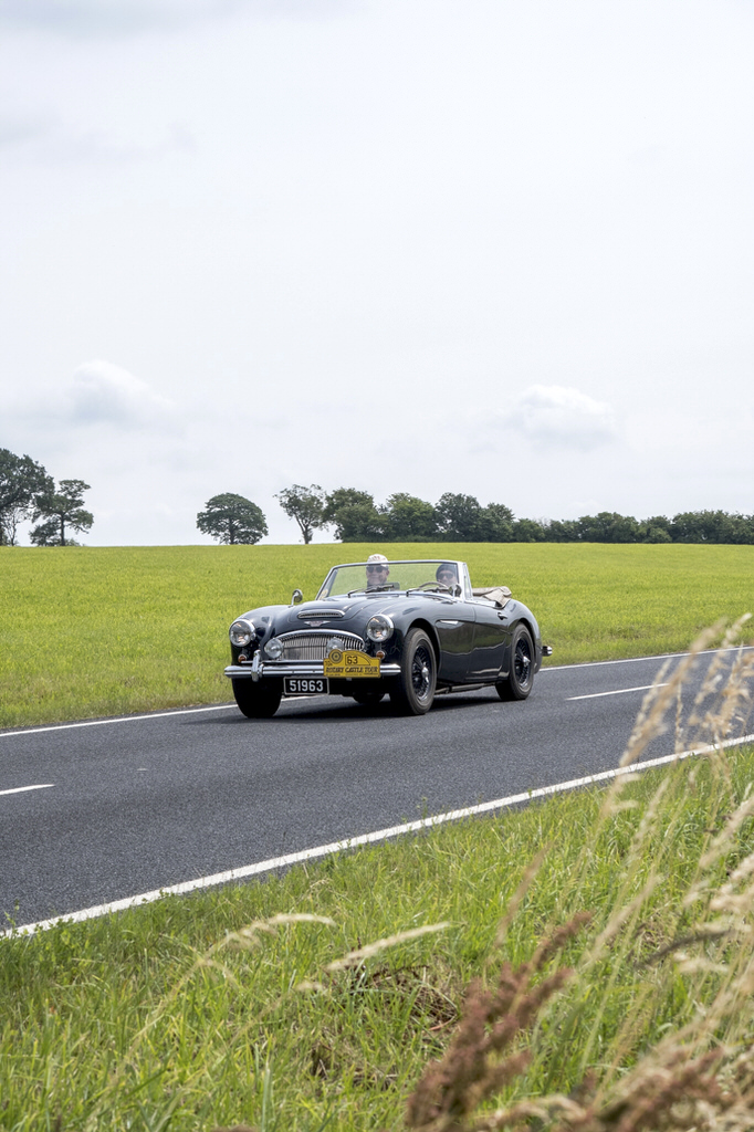 Rotary Castle Tour 20180624