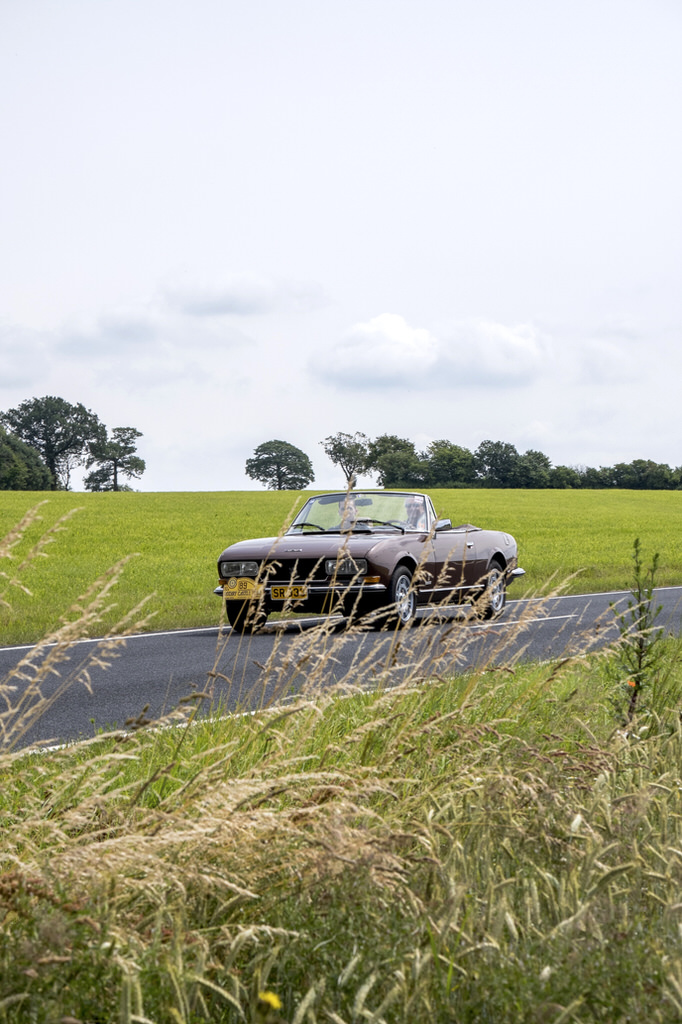 Rotary Castle Tour 20180624