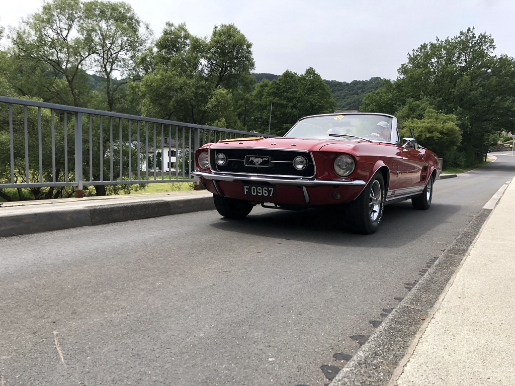 Rotary Castle Tour 20180624