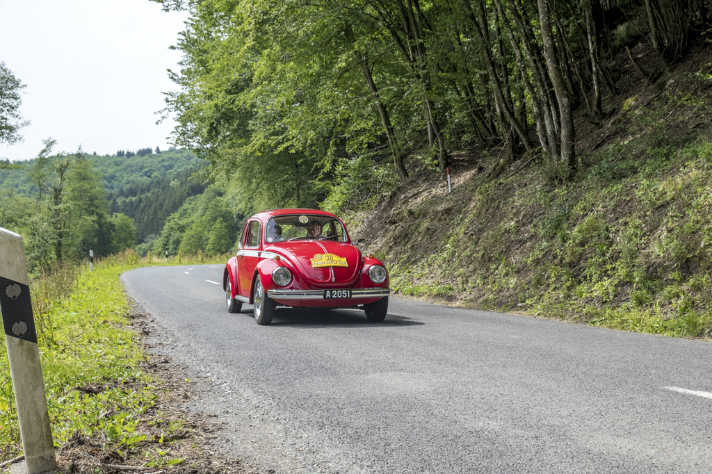 Rotary Castle Tour 20180624