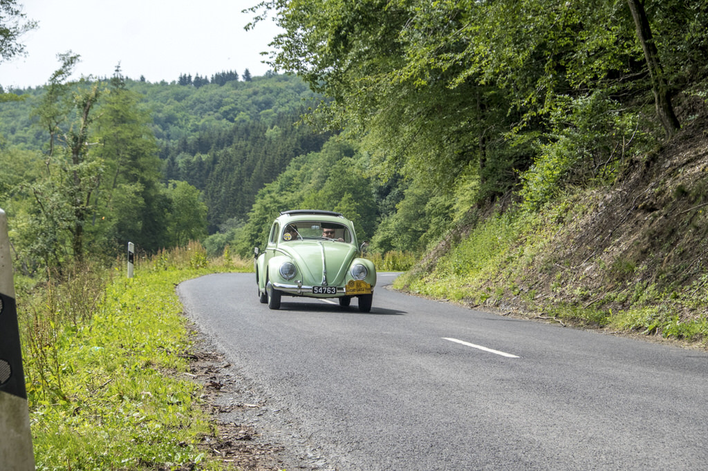 Rotary Castle Tour 20180624