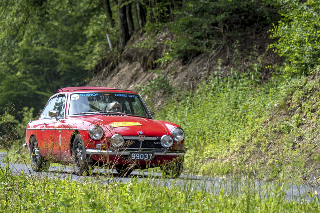 Rotary Castle Tour 20180624