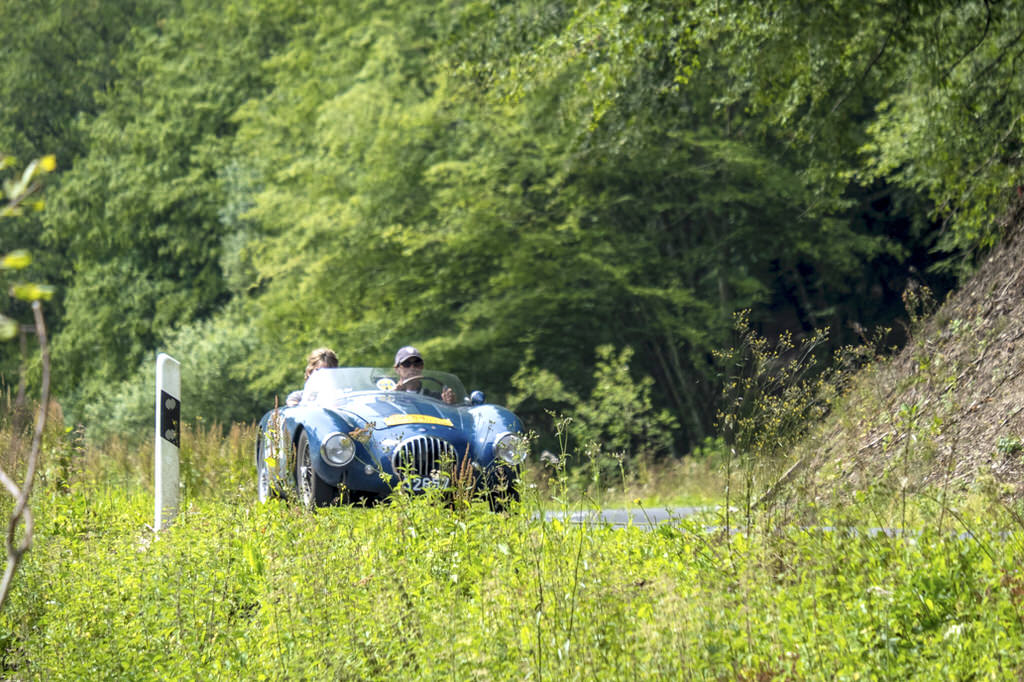 Rotary Castle Tour 20180624